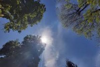Сутра сунчано и топло, послије подне повећање облачности