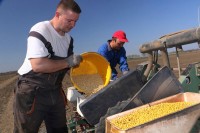 Ко засије ГМО соју остаје без подстицаја