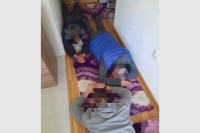 Detalji akcije “Dostavljač”: Drogu uzgajali u kutiji za jaja