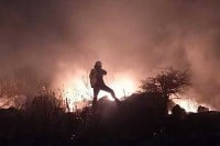 Угашен пожар на брду Гат