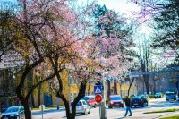 Вријеме у Српској: Данас промјенљиво и топло, температура ваздуха до 20 степени