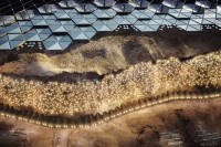Mars novi dom za 250.000 ljudi