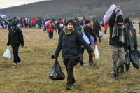 Misija UN BiH: Potrebna hitna akcija protiv nasilnog vraćanja migranata sa granice