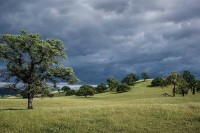 Данас облачно, увече падавине