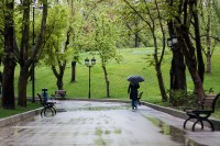 Sutra prolazna kiša u većini predjela, temperatura do 20 stepeni
