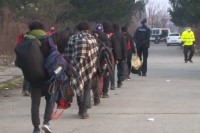 Cikotić: Austrija spremna da podrži BiH u povratku migranata u zemlje porijekla