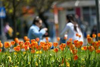 Vrijeme u Srpskoj: Danas još toplije, temperatura do 30 stepeni Celzijusovih