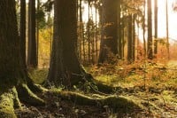 Sutra nestabilno i svježije, uz sunčane intervale