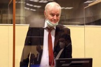 Lukić: Bude li po pravu - presuda će biti pozitivna za generala Mladića
