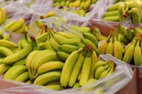 Bacili sanduke sa bananama u smeće, u njima bio kokain