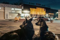 Festival “Cinema Parallels” od 10. do 12. juna u Banjaluci: Posveta nagrađivanim filmovima