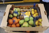Mozzart u Nevesinju nastavio akciju podjele vitaminskih paketa