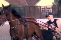 Jokić stigao u Sombor VIDEO