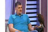 Od košarkaša do sokolara: Zoran Ćurguz uzgajivač najbržih ptica na svijetu