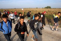 Jović: Povoljnije stanje u oblasti ilegalnih migracija