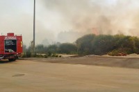 Požar kod Šibenika zahvatio površinu od 30 hektara