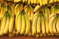 Инспекција РС наложила враћање 19,5 тона банана из Eквадора