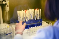 Вирусом корона заражене још двије особе, исто толико преминуло