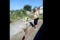 Ljubuški: U kuhinji pronašla ogromnu zmiju