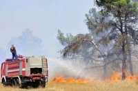Požar u Donjim Brežinama, nisu ugroženi stambeni objekti