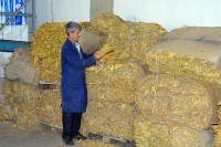 Михајловић: УИО је конфисковала организовану производњу дувана