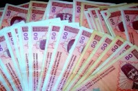 Ministarstvo poljoprivrede: Podrška uzgajivačima svinja u iznosu od 699.051 KM