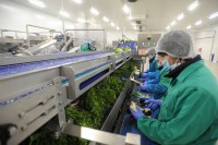 Petričević: Prerađivačka industrija zabilježila rast od 16,3 odsto