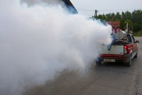 Suzbijanje komaraca narednih pet dana od Savskog nasipa do Janje