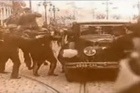 Film “Pucnji u Marseju” 5. avgusta premijerno u Herceg Novom