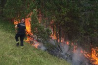 Nova Varoš: Vanredna situacija zbog požara