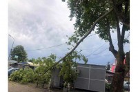 Prijedorsku regiju pogodilo olujno nevrijeme: Vjetar čupao drveće i skidao krovove