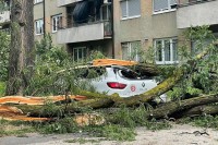 Italijan došao u Bihać na odmor, pa stradao od drveta