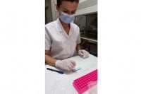 Institut počeo sa testiranjem brzim antigenskim testovima