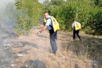Požar u Ljubinju pod kontrolom