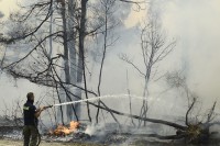 Пожар оставио пустош у Грчкој и Турској