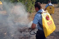 Požar ugrožava magistralni put Ljubinje-Trebinje
