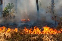 Požar na Ravnoj planini pod kontrolom - hitne službe dežuraju