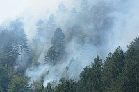 Novitović: Većina požara pod kontrolom