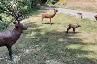 Nacionalni park Kozara pozvao posjetioce da se sa pažnjom odnose prema eksponatima u parku