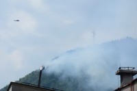 Majkić: Požari iskorišteni kao oružje u političkoj borbi