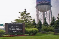 Zoološki vrt u Detroitu počinje s vakcinacijom životinja protiv virusa korona