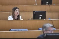 Vulić: Turkovićeva uzurpira nadležnosti Predsjedništva BiH
