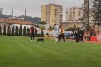 Pas prekinuo utakmicu Premijer lige BiH, gurajući loptu prošao kroz noge jednog od igrača