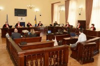 Ćeman: BiH svojim zakonom treba urediti pitanje vlasništva nad šumama