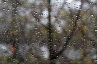 Sutra slaba kiša, temperatura do 19 stepeni