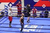 Roj Džons Junior:Želim da moj sin igra košarku u Beogradu