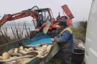 Zaposlenima i sezoncima u prnjavorskom “Ribnjaku” isplaćena plata i dnevnice