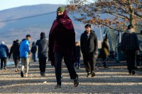 Bašić: Vlada Livanjskog kantona od osnivanja nije razmatrala pitanje migranata