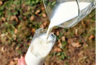Produžite mlijeku rok trajanja, sačuvajte svježinu salate