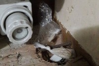 Шверцерима дроге десет година робије